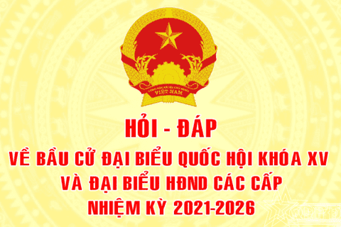 Vị trí, vai trò của đại biểu Hội đồng nhân dân được quy định như thế nào?
