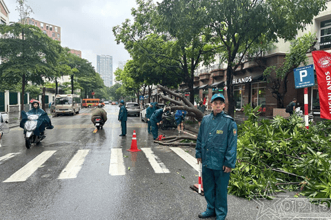 Ban CHQS phường Từ Liêm: Dầm mưa dọn cây ngã đổ, phân luồng giao thông sau mưa lớn