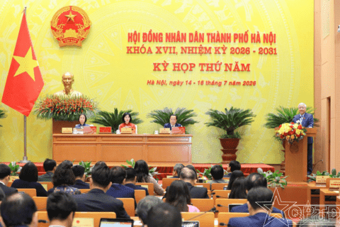 Nổi bật
