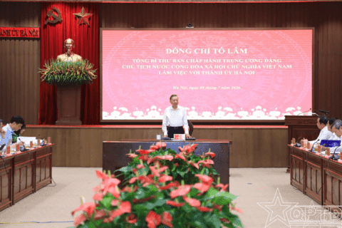 Nổi bật